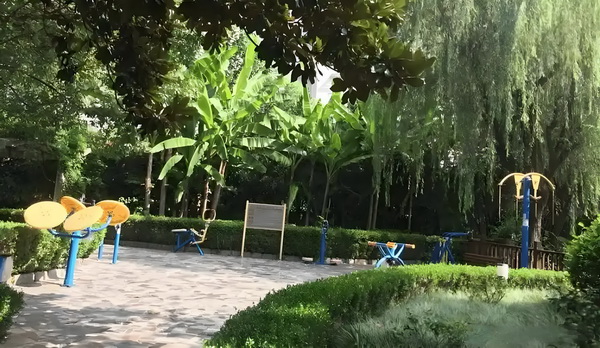 深圳积分入户要哪些资料_黄奕女儿不读书想去韩国当练习生，颜值是硬伤 黄奕女儿为将其行处罚受到